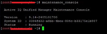 No_menu_in_maintenance_console_when_systems_running_with_root.jpg