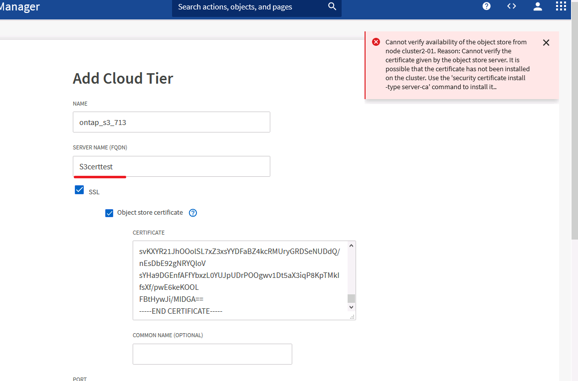 Adding ONTAP S3 tier through GUI fails with cannot verify certificate